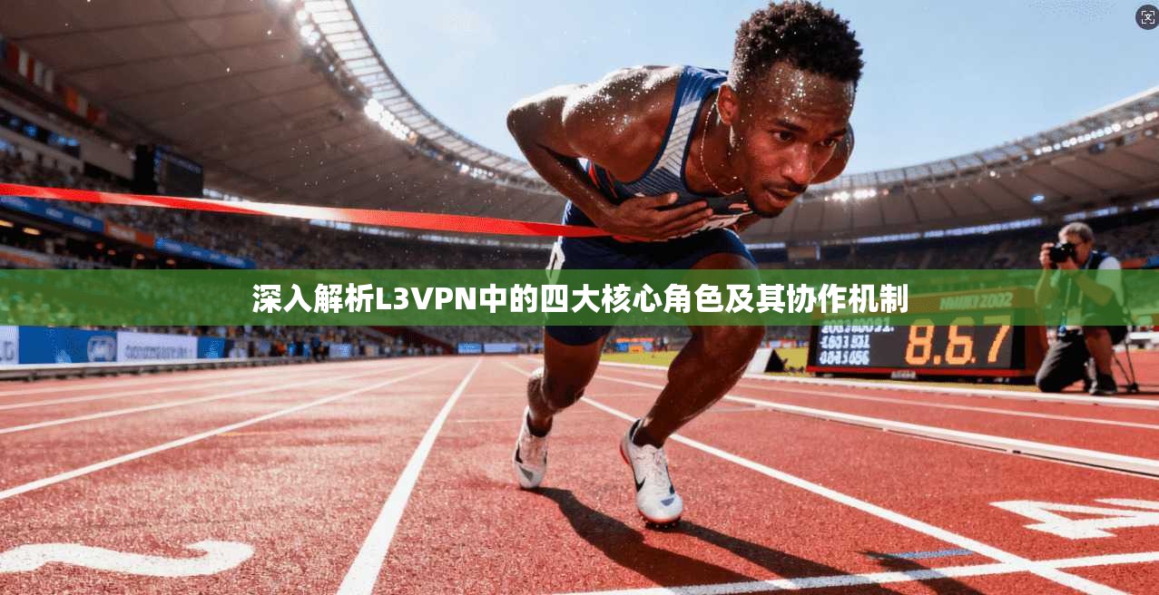 深入解析L3VPN中的四大核心角色及其协作机制