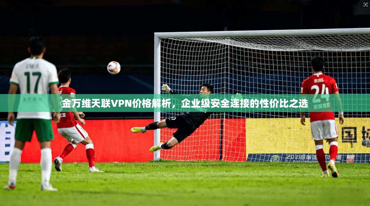 金万维天联VPN价格解析，企业级安全连接的性价比之选