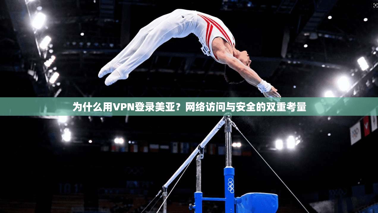 为什么用VPN登录美亚?网络访问与安全的双重考量 为什么用VPN登录美亚?网络访问与安全的双重考量