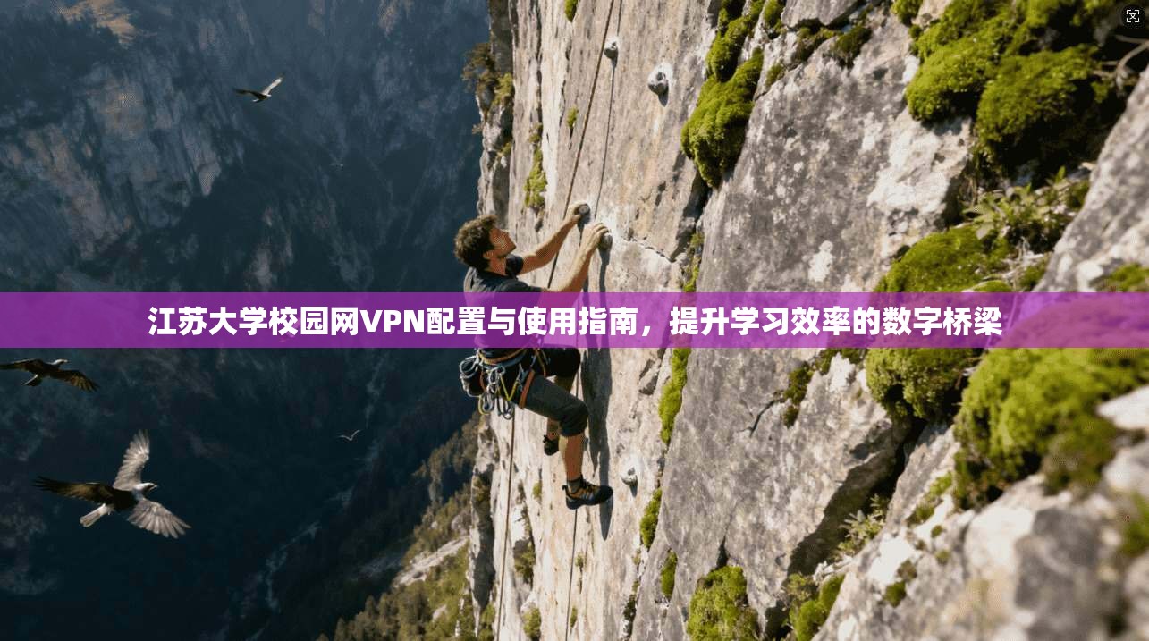 江苏大学校园网VPN配置与使用指南,提升学习效率的数字桥梁