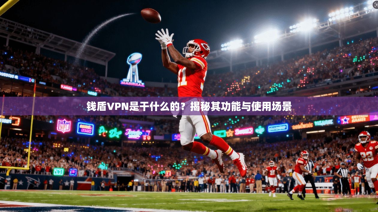 钱盾VPN是干什么的?揭秘其功能与使用场景 钱盾VPN是干什么的?揭秘其功能与使用场景