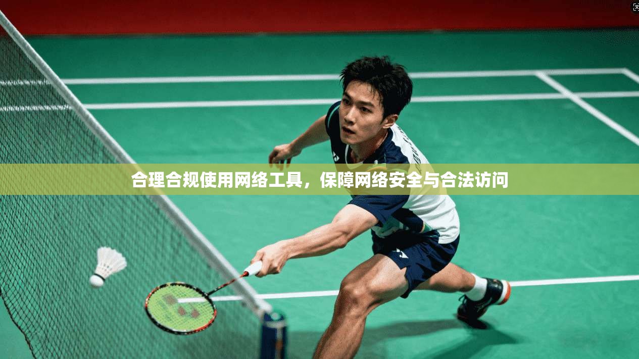 合理合规使用网络工具，保障网络安全与合法访问