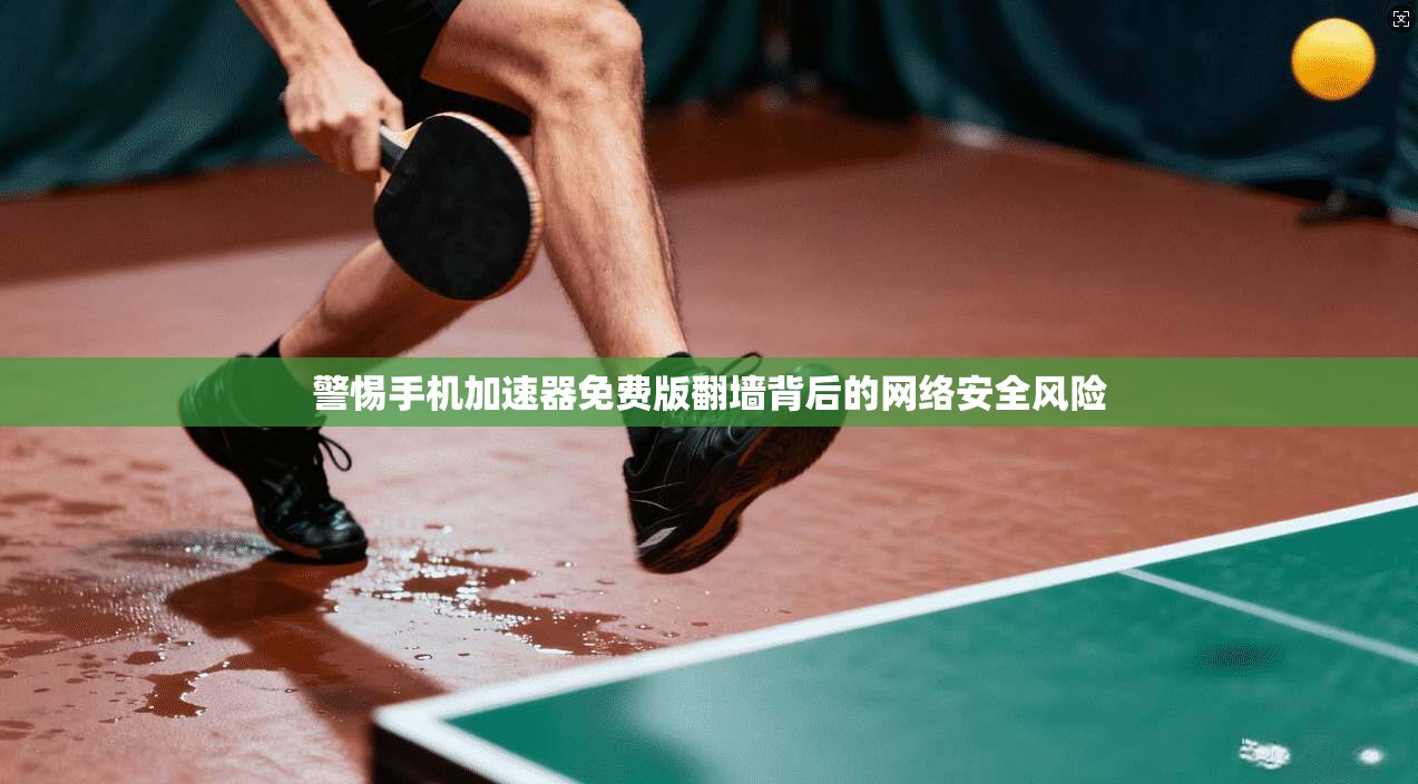 警惕手机加速器免费版翻墙背后的网络安全风险 警惕手机加速器免费版翻墙背后的网络安全风险