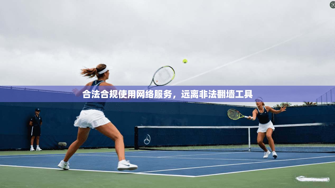 合法合规使用网络服务，远离非法翻墙工具