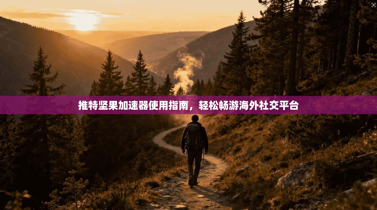 推特坚果加速器使用指南,轻松畅游海外社交平台