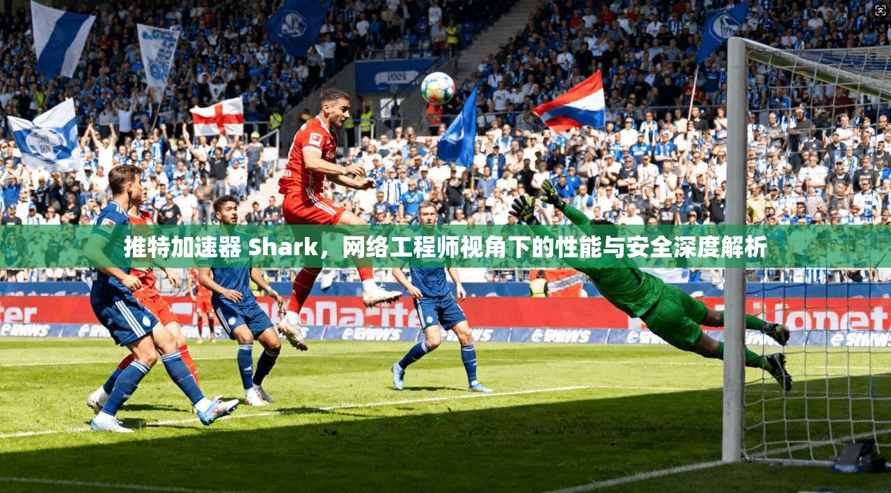 推特加速器 Shark,网络工程师视角下的性能与安全深度解析