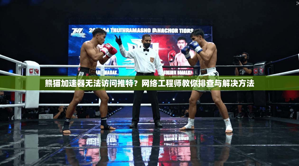 熊猫加速器无法访问推特?网络工程师教你排查与解决方法 熊猫加速器无法访问推特?网络工程师教你排查与解决方法
