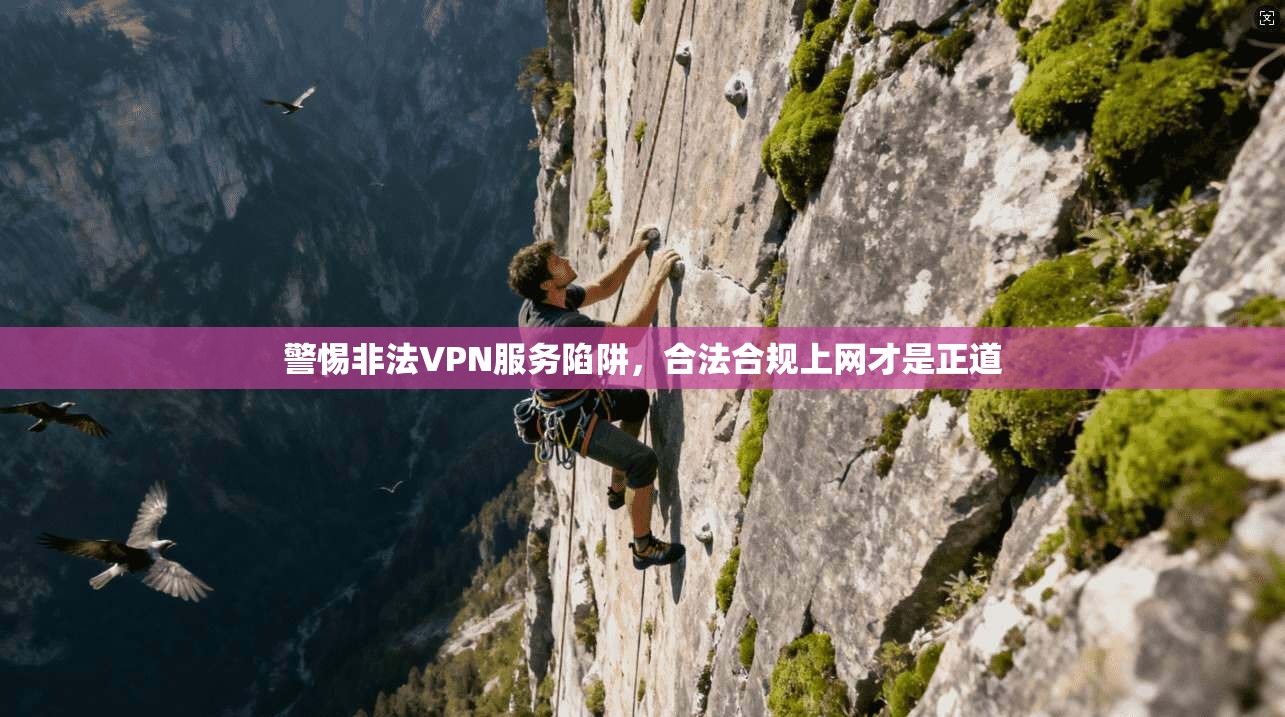 警惕非法VPN服务陷阱,合法合规上网才是正道