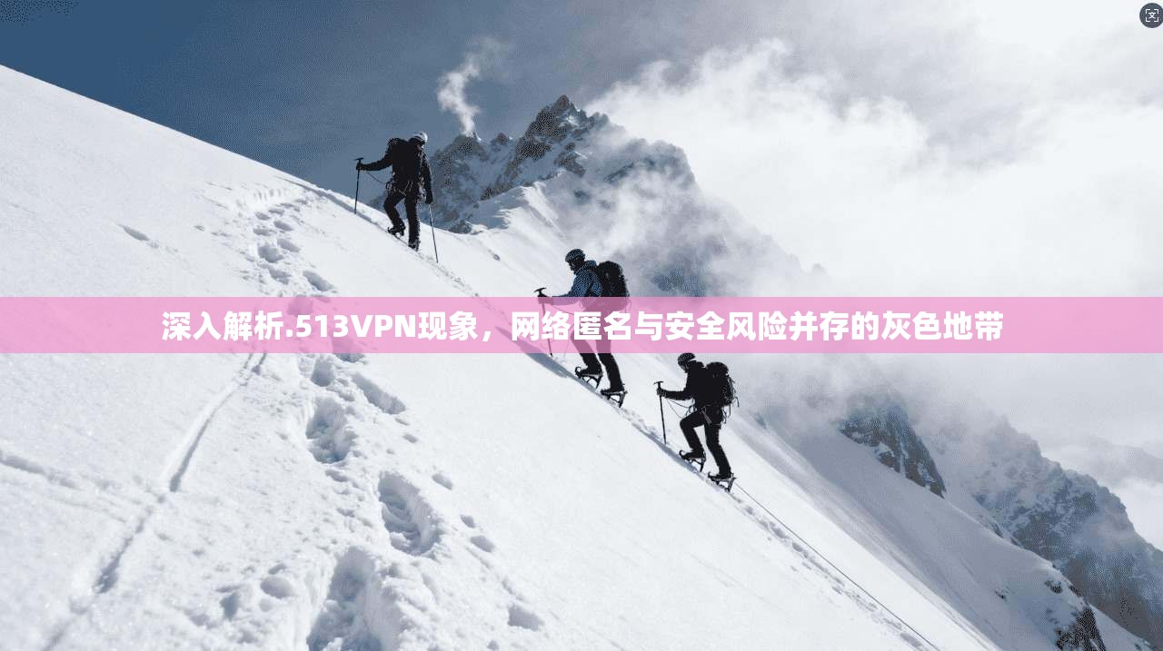 深入解析.513VPN现象,网络匿名与安全风险并存的灰色地带 深入解析.513VPN现象,网络匿名与安全风险并存的灰色地带