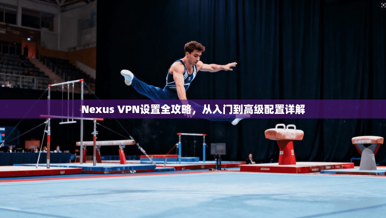 Nexus VPN设置全攻略,从入门到高级配置详解