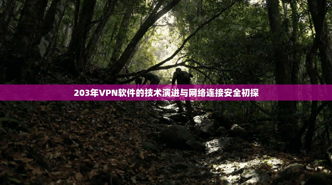 203年VPN软件的技术演进与网络连接安全初探 203年VPN软件的技术演进与网络连接安全初探