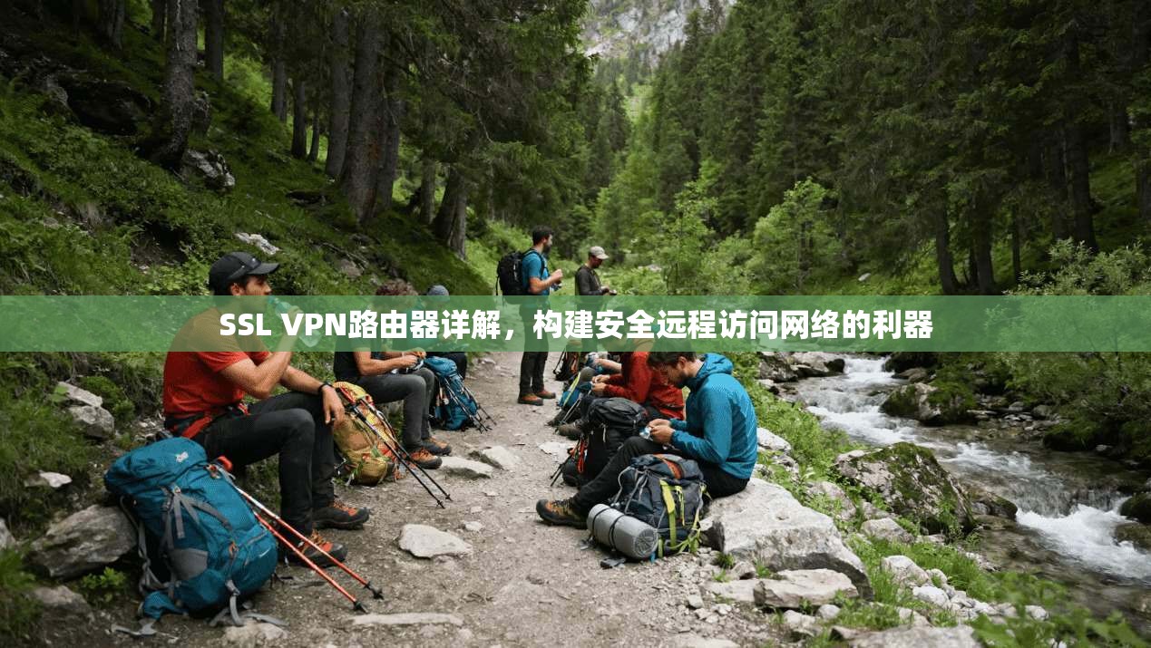 SSL VPN路由器详解,构建安全远程访问网络的利器 SSL VPN路由器详解,构建安全远程访问网络的利器