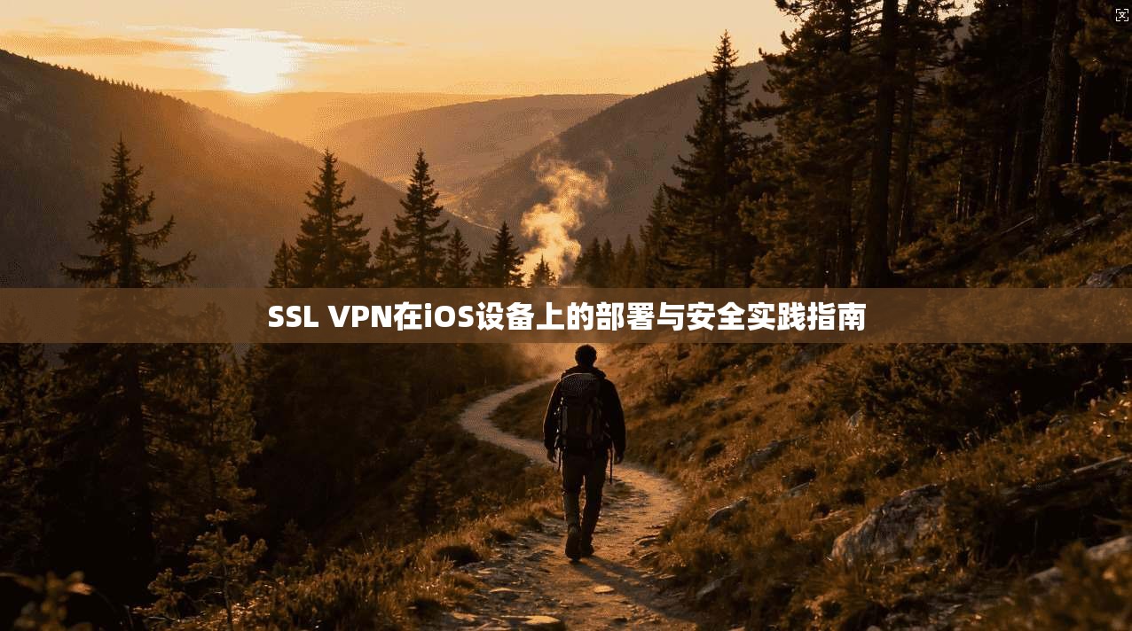 SSL VPN在iOS设备上的部署与安全实践指南 SSL VPN在iOS设备上的部署与安全实践指南