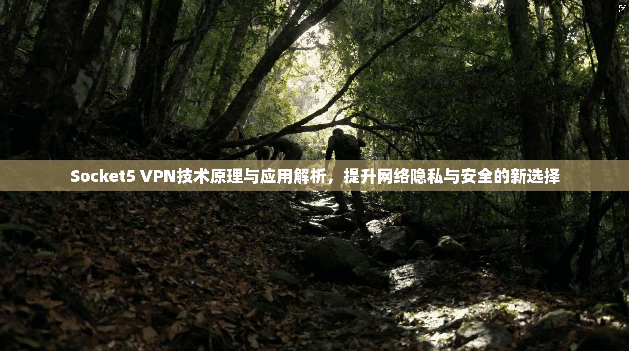 Socket5 VPN技术原理与应用解析,提升网络隐私与安全的新选择 Socket5 VPN技术原理与应用解析,提升网络隐私与安全的新选择