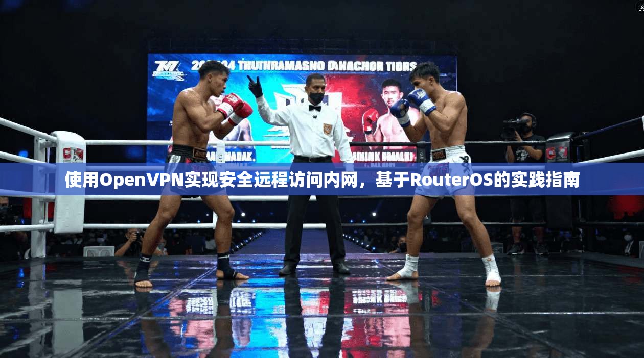 使用OpenVPN实现安全远程访问内网,基于RouterOS的实践指南