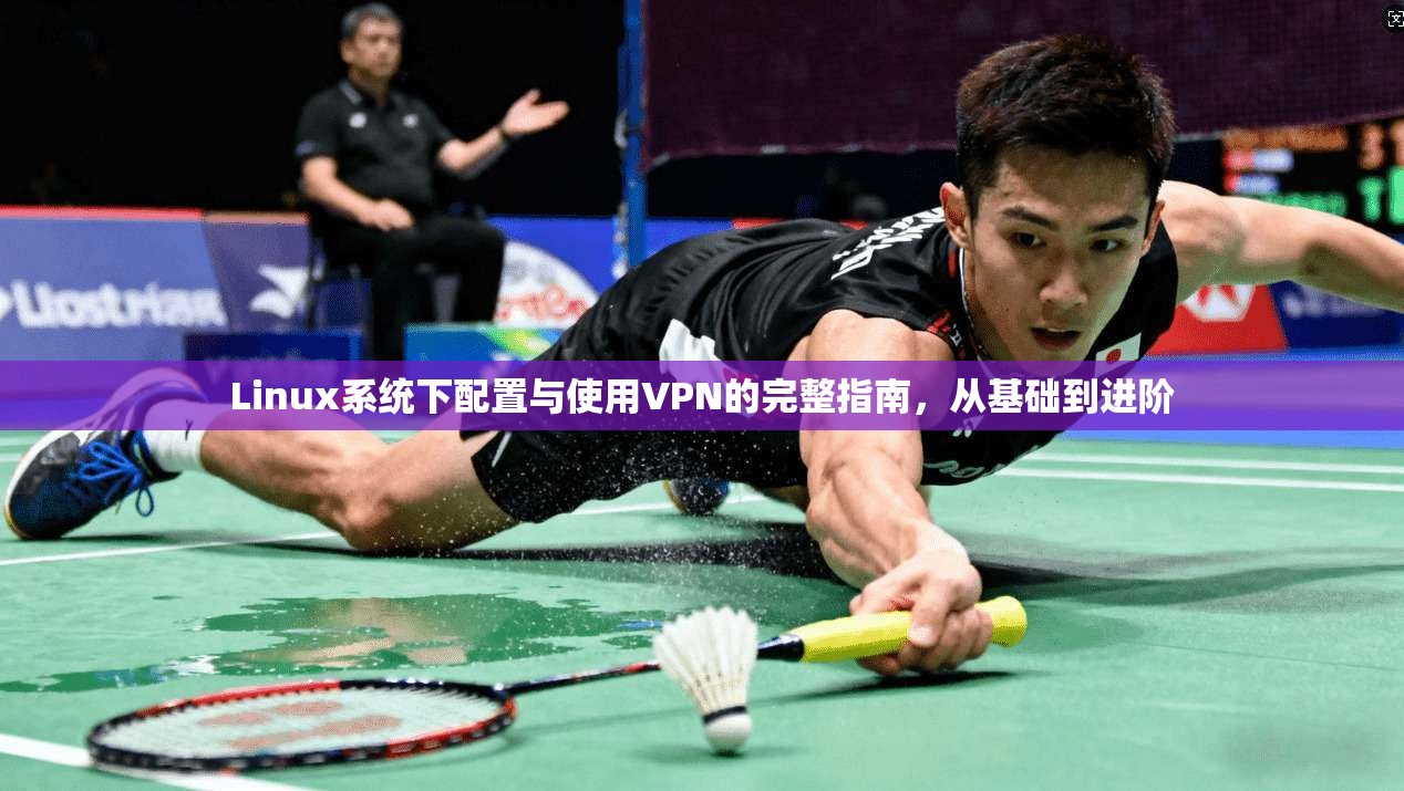 Linux系统下配置与使用VPN的完整指南，从基础到进阶