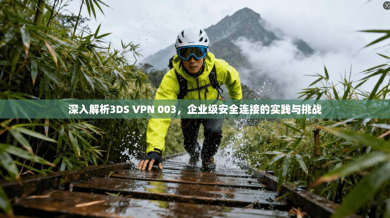深入解析3DS VPN 003,企业级安全连接的实践与挑战